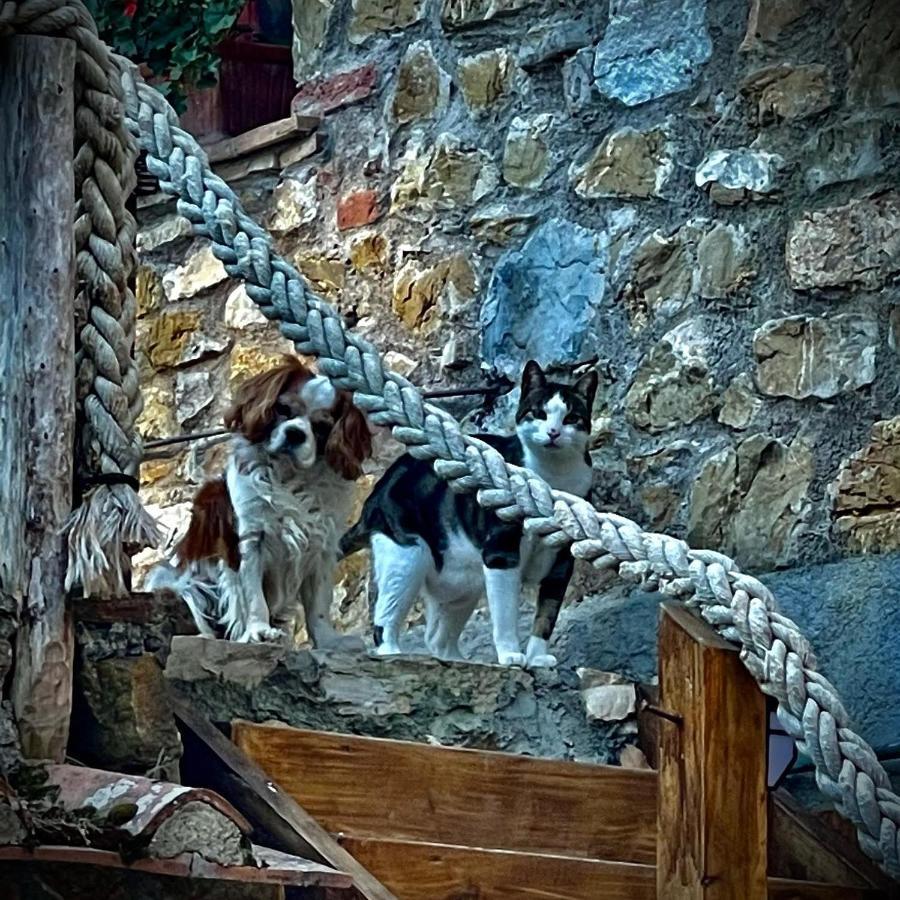 Camere Vecchia Fonte Кампилия Маритима Екстериор снимка